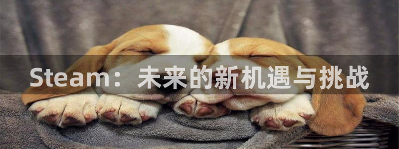 长征娱乐科技：Steam：未来的新机遇与挑战