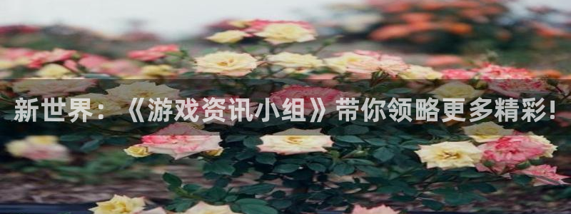 长征娱乐科技：新世界：《游戏资讯小组》带你领略更多精彩!