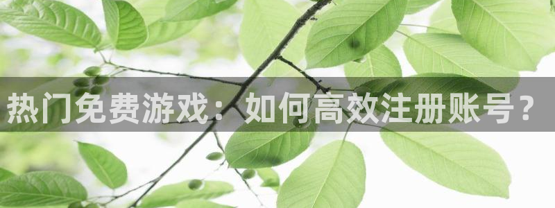 长征娱乐Ii：热门免费游戏：如何高效注册账号？