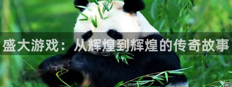 长征娱乐登陆地址：盛大游戏：从辉煌到辉煌的传奇故事