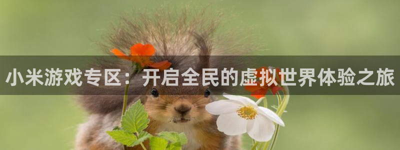 长征娱乐Ii：小米游戏专区：开启全民的虚拟世界体验之旅
