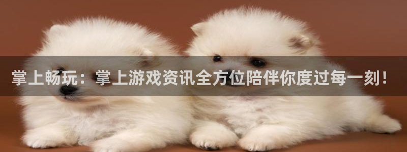 长征娱乐什么意思：掌上畅玩：掌上游戏资讯全方位陪伴你度过每一