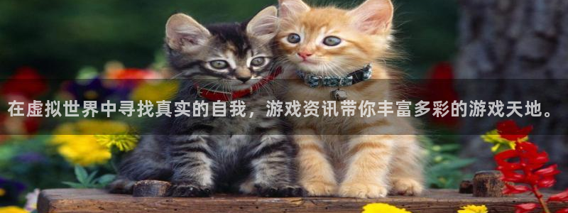 长征娱乐平台官网