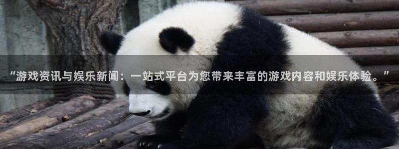 长征娱乐总代理电话：“游戏资讯与娱乐新闻：一站式平台为您带来