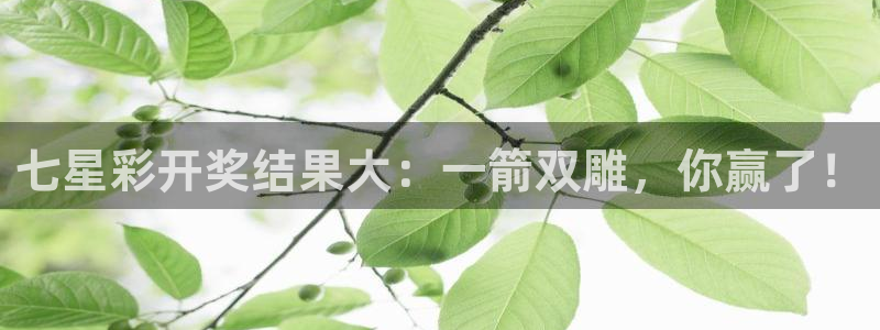 火凤直播nba：七星彩开奖结果大：一箭双雕，你赢了！
