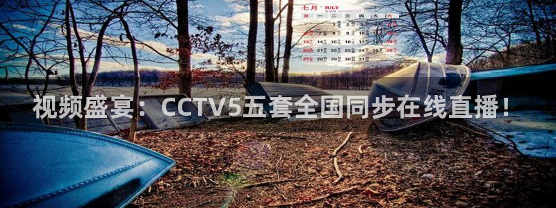 火凤足球直播免费观看：视频盛宴：CCTV5五套全国同步在线直播！