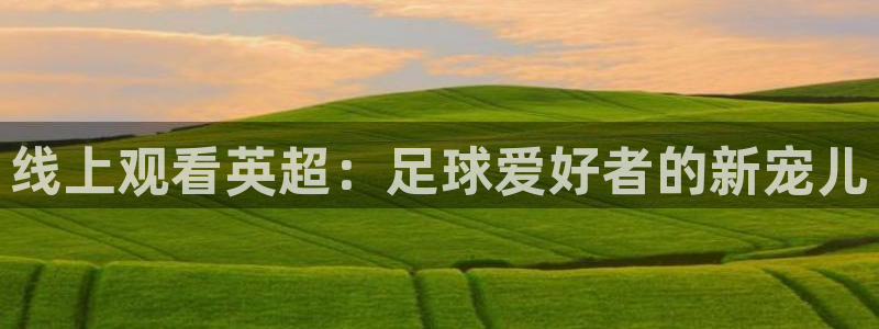 火凤体育免费直播在线观看：线上观看英超：足球爱好者的新宠儿